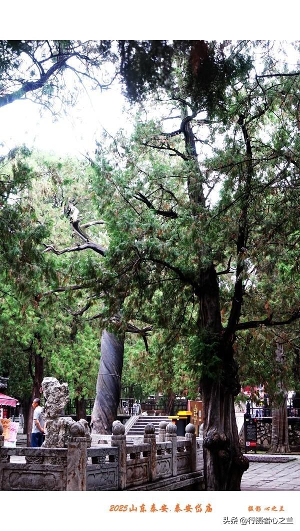 山东行游影记（318）—泰安岱庙（十四）