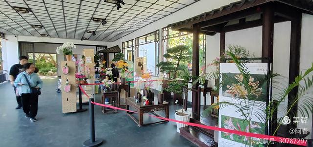 游西湖：杭州植物园之石蒜花展