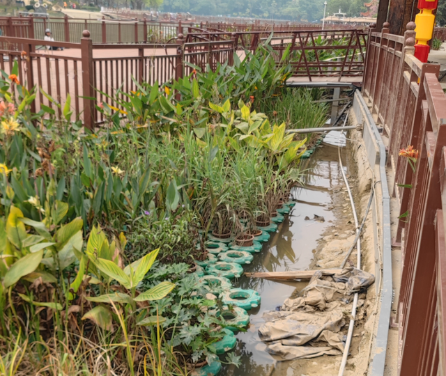 褪色的5A与失真的红色：百色起义纪念园为何背离初心？