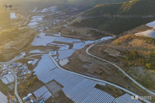 如果你正在大理摆烂,这条被果园包围的乡村小道很值得去跑一跑