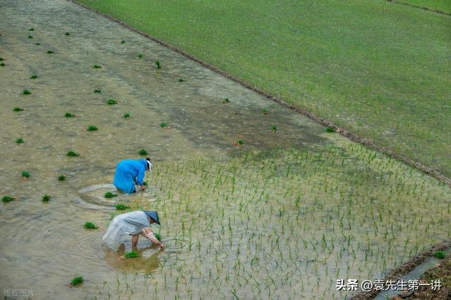 今日霜降，老人说最怕“霜降一日雨”，霜降下雨有啥预兆？早了解