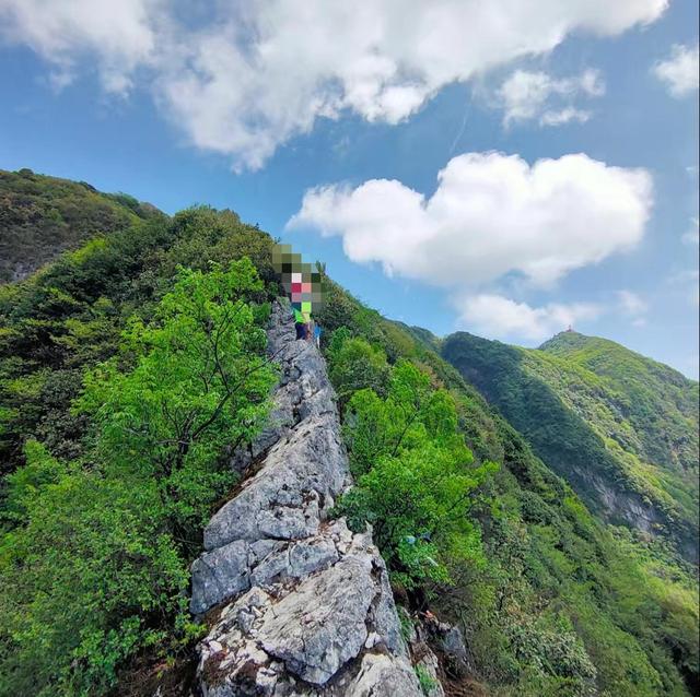 网传男子因玩手机摔下悬崖，后自发朋友圈称“福大命大”，景区：涉事地点禁止攀爬