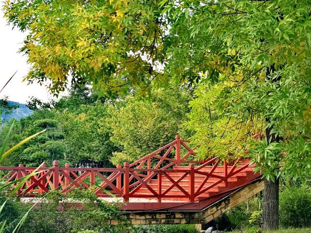 秋天的陇南，有什么好看的？