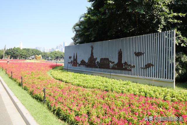 广州一年四季这景点都有花海，绝美赏景地