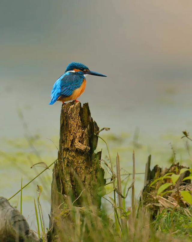 收藏！摄影师私藏的山河秋色，藏着最浓的诗意 | 皖美秋日