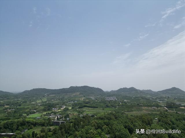 成都徒步（64）·新津篇③观音寺