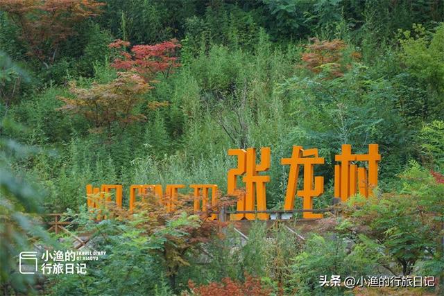 西安秦岭深处惊现“绿野仙踪”！这片竹海秘境又美又仙，你去了吗