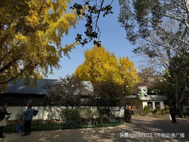 公园景区秋色图鉴,这几处必打卡