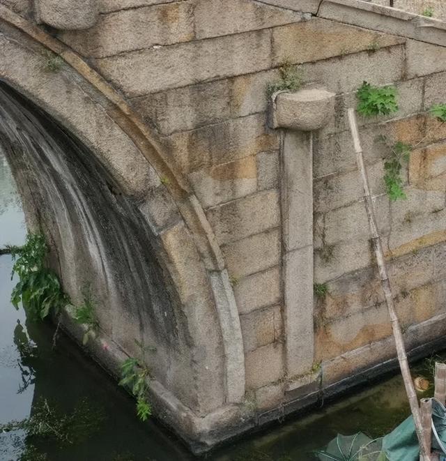 青龙白鹤水千年，古韵村居尽枕河——青浦白鹤古桥小记