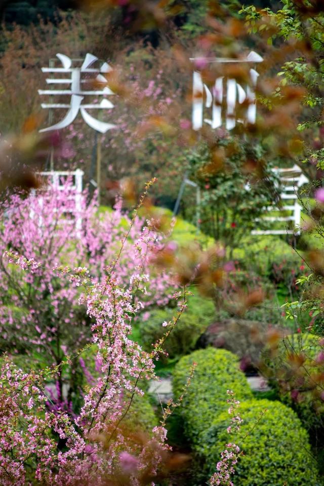 收藏！峨眉山「春日玩耍秘籍」，明天就出发