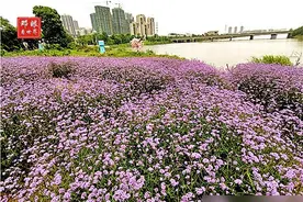 汉阳、蔡甸、汉南、武汉开发区4地为何互有飞地你中有我我中有你图片