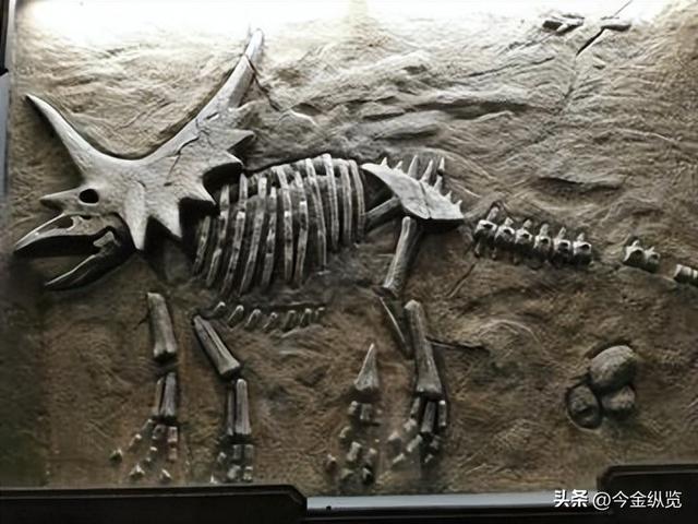 恐龙为何仰天长啸？解密亿年谜团	，30只蜥蜴尸体揭开死亡姿态真相