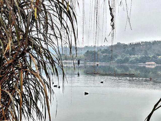 【井研行】天地画印研溪湿地