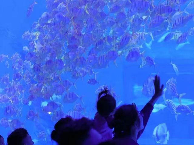 日照四大热门景区上榜！国庆假期大家追景都在……