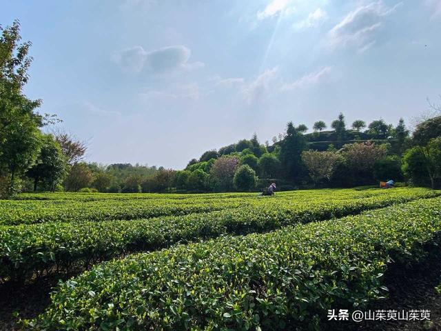 2023年春重庆探亲游（上篇）