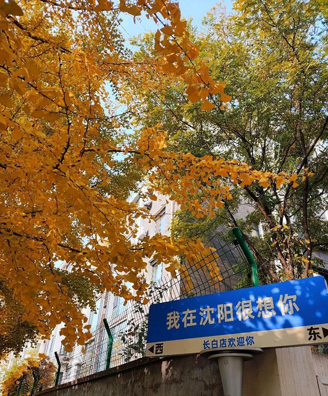辽宁的秋景：迟到半个月的惊艳
