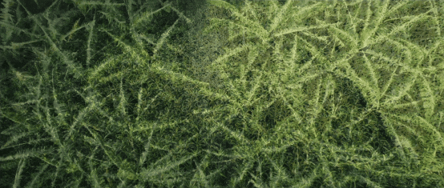 这几年最大的教训，想去西藏得趁早！