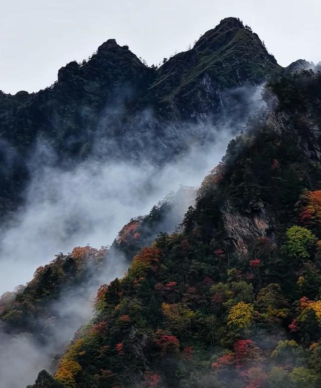 雾锁摩天岭：山与云的共生诗