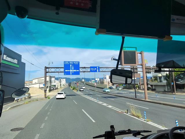因为鹿，我爱上了奈良