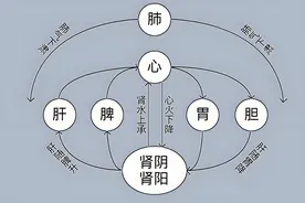 减肥先调脾，调脾先疏肝！一碗小茶汤，肝脾肾同调，轻松甩掉赘肉图片