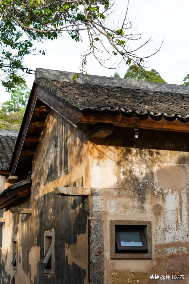 “都市栗人” 指南：坪山寻景品咖、暖过秋冬