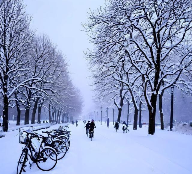 “超级冷冬”是真是假？专家一句话点破：今年冬天最可怕的不是冷