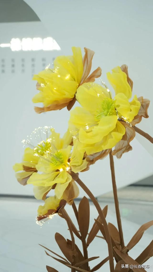 走进长春!150个网红打卡地之赛诺美焱美学馆