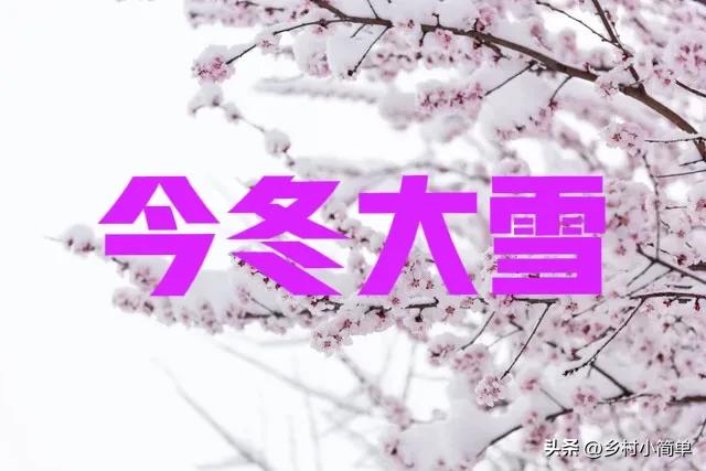 明日立冬不一般，“大雪来不来	，就看立冬	”，今冬大雪？