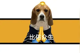 比格大魔王，打工人的顶级人设图片