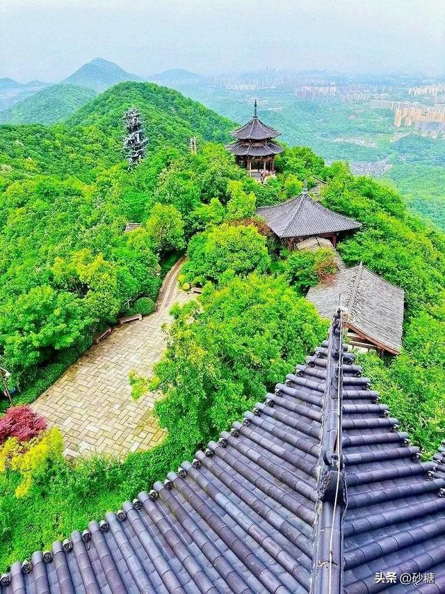 一键get森系大片！半山国家森林公园吸氧徒步全攻略