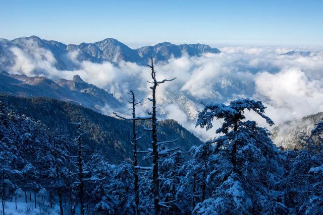 世界自然遗产、物种基因库、北纬31°绿色奇迹——神农架旅游攻略