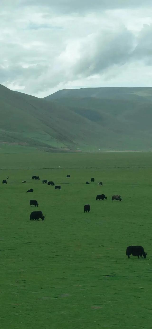 干净漂亮的手机壁纸