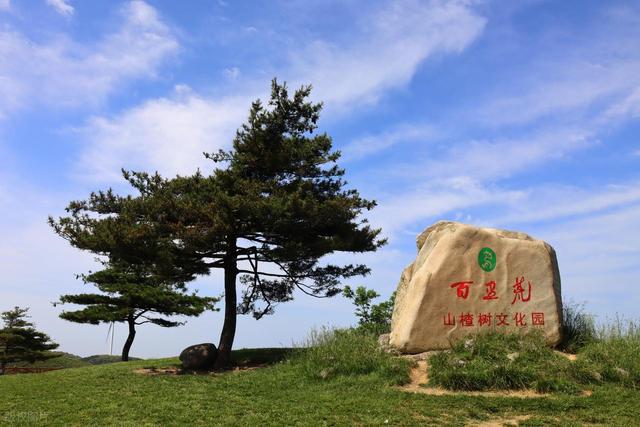 比安吉野性，比莫干山仙气，最神秘的地方之一，99％的人都错过了