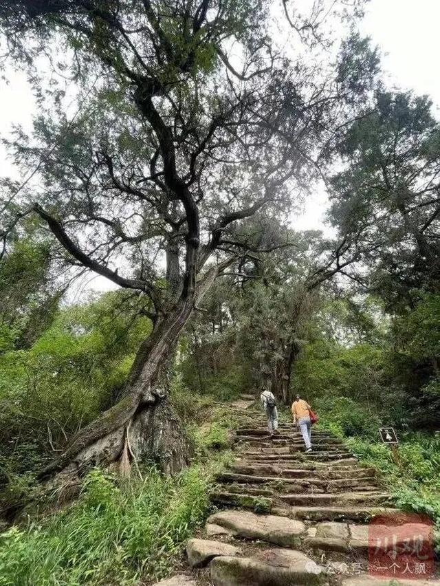 历史上的国家级大道，你走过几条？