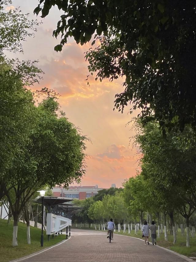 @XMUer，厦园这些路你都走过吗？