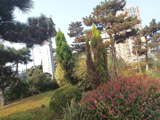 生肖猪：不出七天，将有一“远方故交”找上门 ，他是你家孩子的福