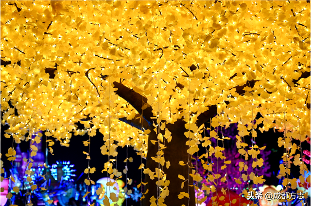 近10万平！首届非遗千灯游园会来了！4号线直达→