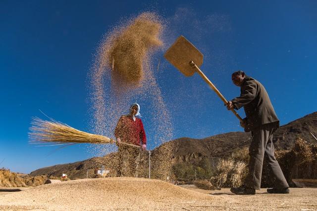 她不敢相信，在监狱里炼狱般的那三年，原来是都是他精心策划