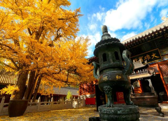 碧水骑丨山水之间 骑迹画卷
