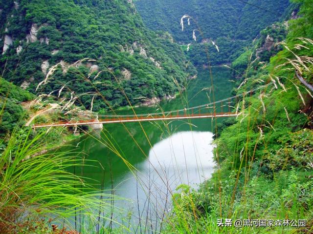 进山纳凉来黑河国家森林公园，让你逃离酷暑，一键降温！