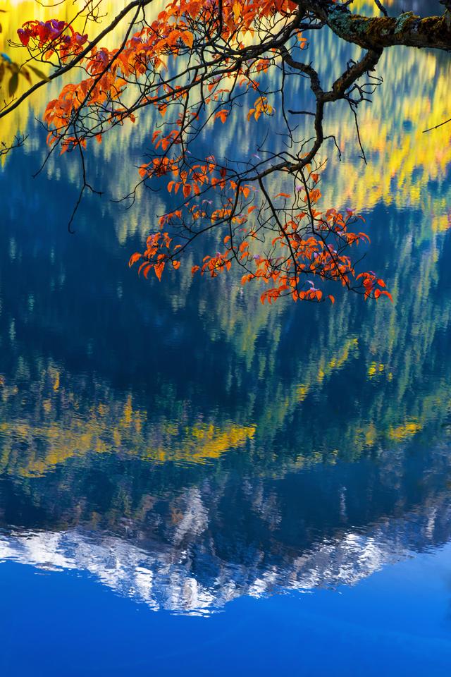 2025国内最受欢迎的50个旅行地，宜老宜少，你去过了几个？