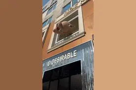 人手一杯！上海这里韩国和泰国游客爆棚，“讲上海话显得格格不入”图片