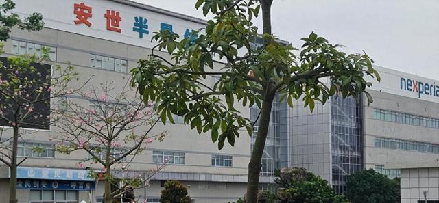 110亿芯片580亿索赔，被荷兰抢走的权与利，中国要连本带利讨回来