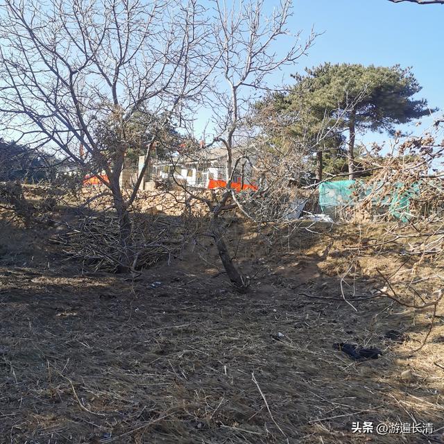 &068.寻找吴道人庵--误入歧途