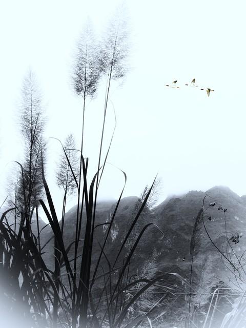 农历八月廿九