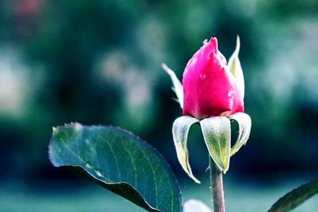 让一个男人爱上你以后离不开	，不是你的长相，而是以下几种感觉