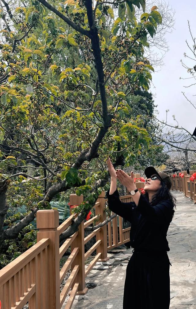 岁月有记(七十)山水游记(四十五)——入川西北方(四)
