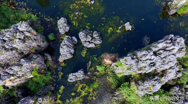 美上央视!季节限定!快去打卡昆明这个水墨仙境,机位、时间、交通等超详细攻略来了!