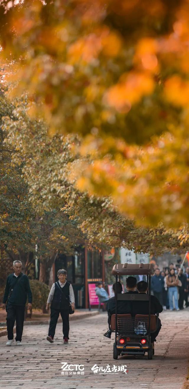 冬韵台儿庄，一键收藏古城的静谧时光