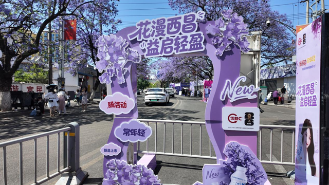 赴一场紫色花事｜西昌蓝花楹打卡点位全部准备就绪